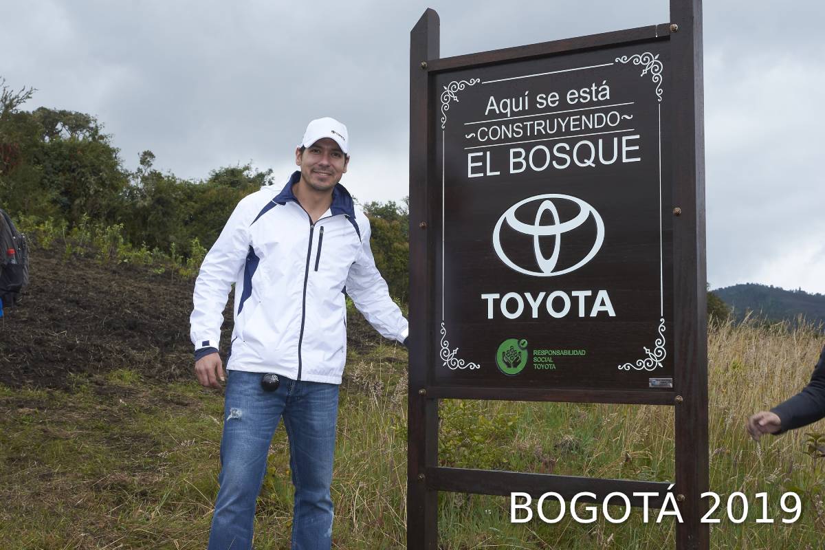 BOSQUE TOYOTA