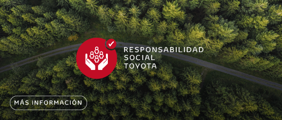 responsabilidad social